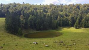 Jezero Biba